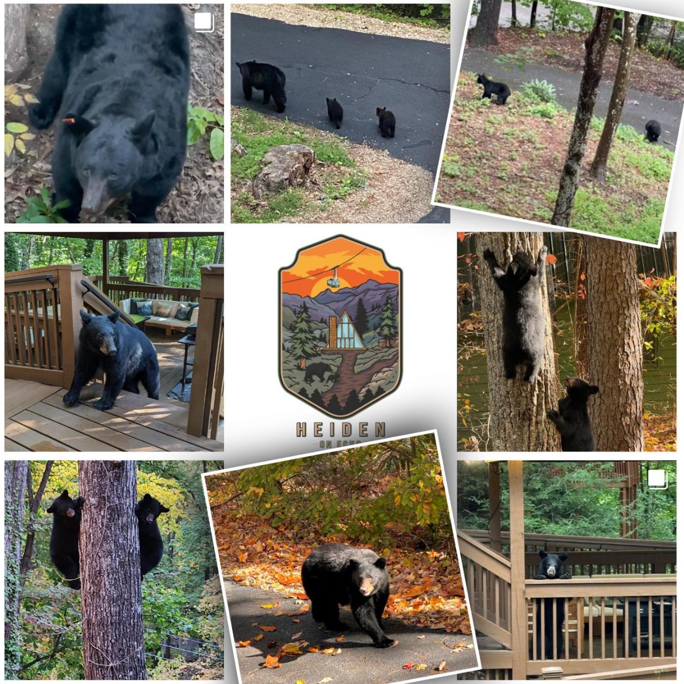 1Mile Downtown, Handicap Ramp, Hot Tub, Game Room Gatlinburg Extérieur photo